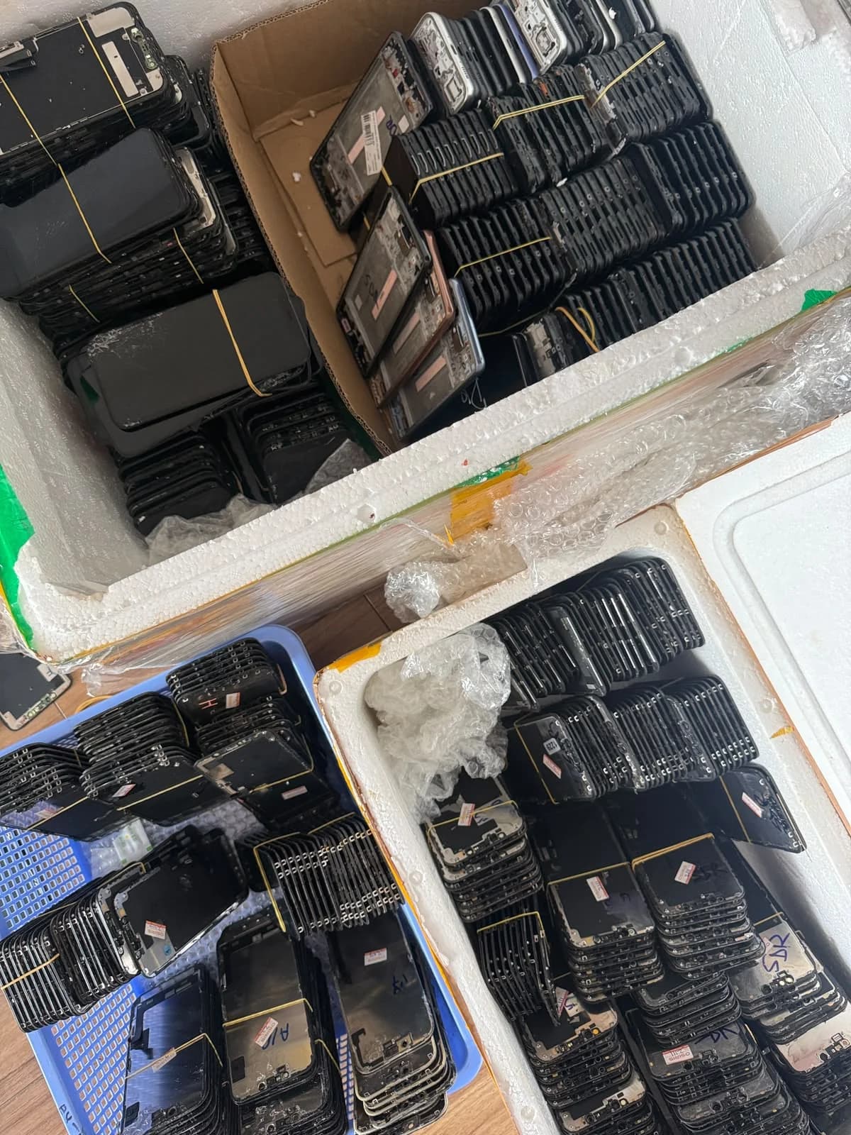 Many bundled screen assemblies arranged in foam containers and a blue basket.